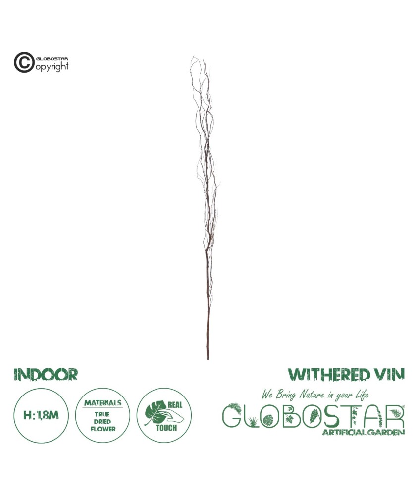 GloboStar® Artificial Garden REAL DRIED WITHERED VINE STEM 21221 Τεχνητό Διακοσμητικό Κλαδί Αμπελιού Y180cm